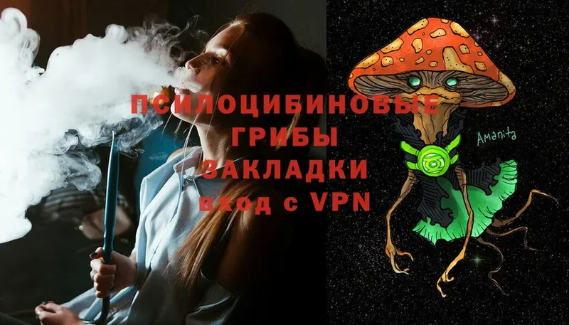 Галлюциногенные грибы Psilocybe  гидра ссылки  Гулькевичи  закладка 